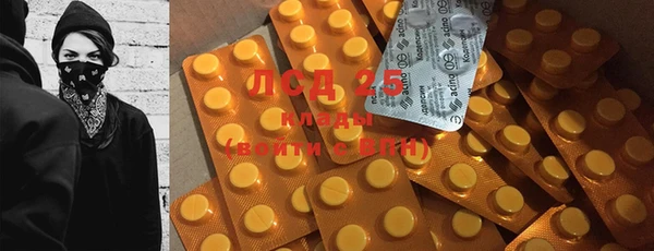 2c-b Инсар