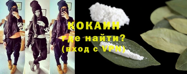 индика Зерноград