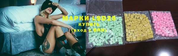 индика Зерноград