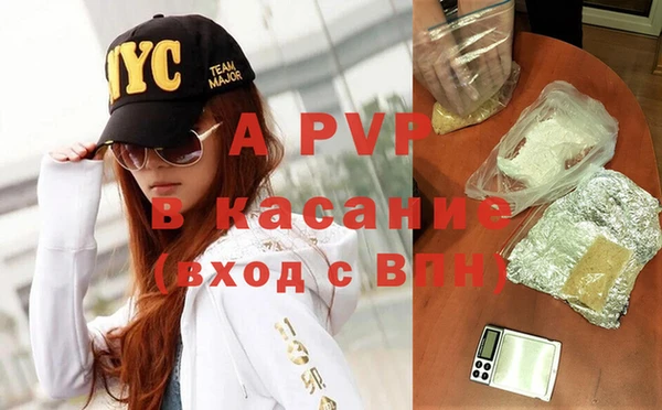 прущие грибы Каменка