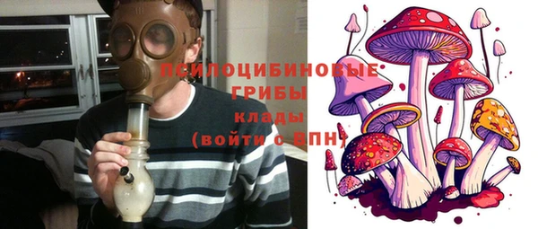прущие грибы Каменка