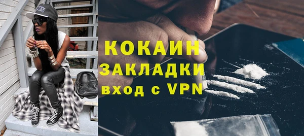 2c-b Инсар