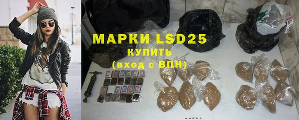 индика Зерноград