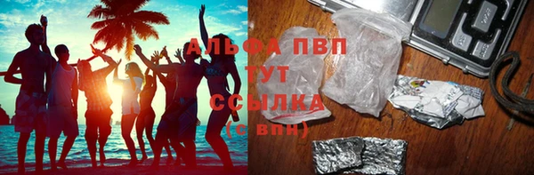 прущие грибы Каменка