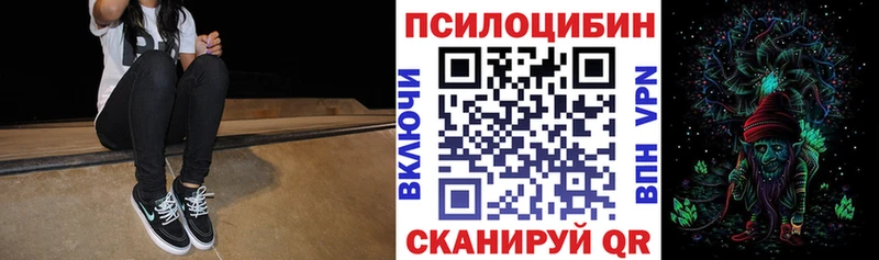 Галлюциногенные грибы Cubensis Ессентуки